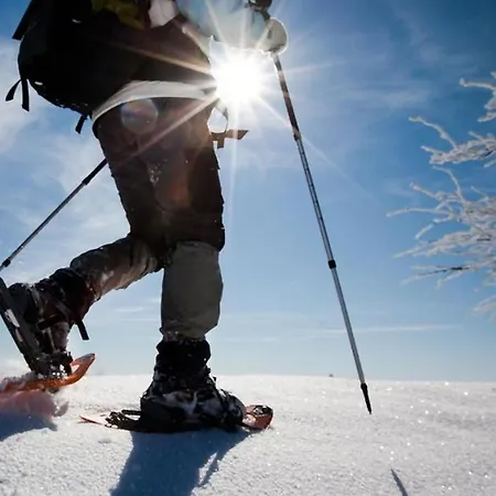 Cima Pape 公寓 罗卡皮耶托雷